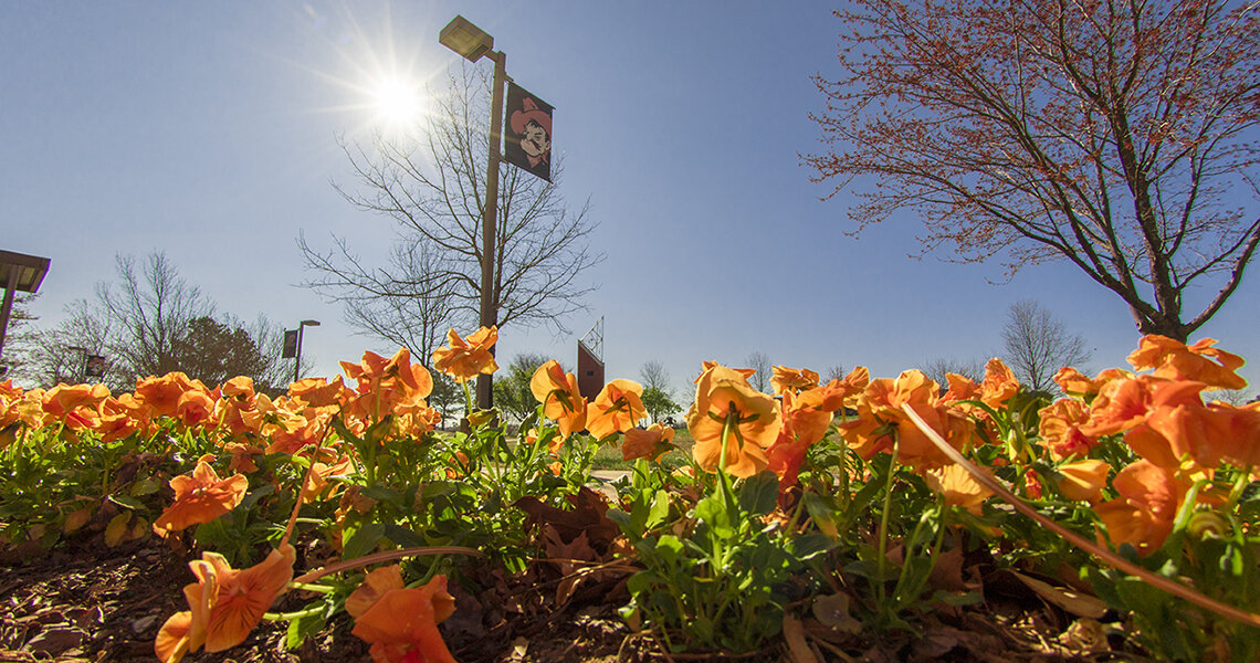 Oklahoma State University Institute of Technology